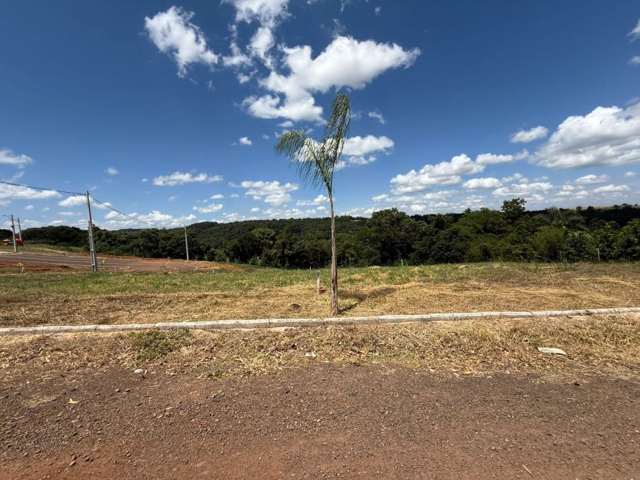 Terreno - Venda - Monte Castelo - Xanxer� - SC