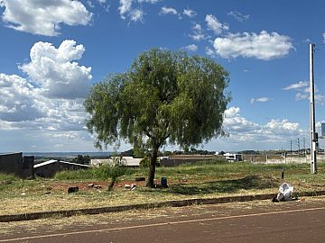 Terreno Vila Sessamo